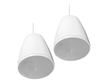 Bose Professional Designmax DM5P Pendant Loudspeakers (Pair) - White