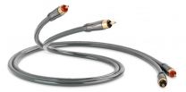 QED Audio 40i - Performance Audio 40i with QED Solid Complementary Conductor™ Technology and Anamate™ RCA plugs
