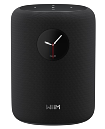 Wiim Sound Multiroom Smart Wireless High-Fidelity Audio Speaker - Black 