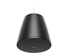 Bose Professional Designmax DM10P-SUB Pendant Subwoofer (Single) - Black